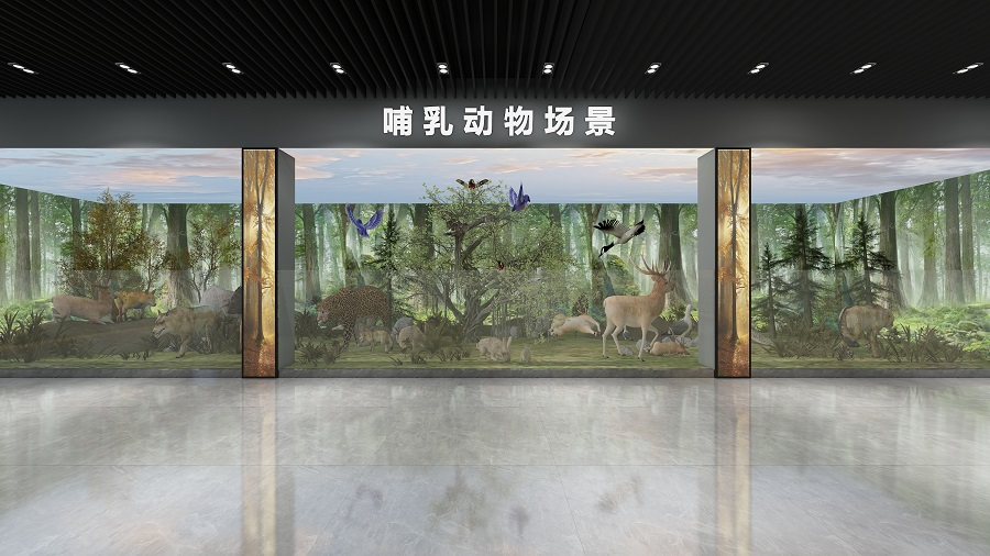 山西保护区